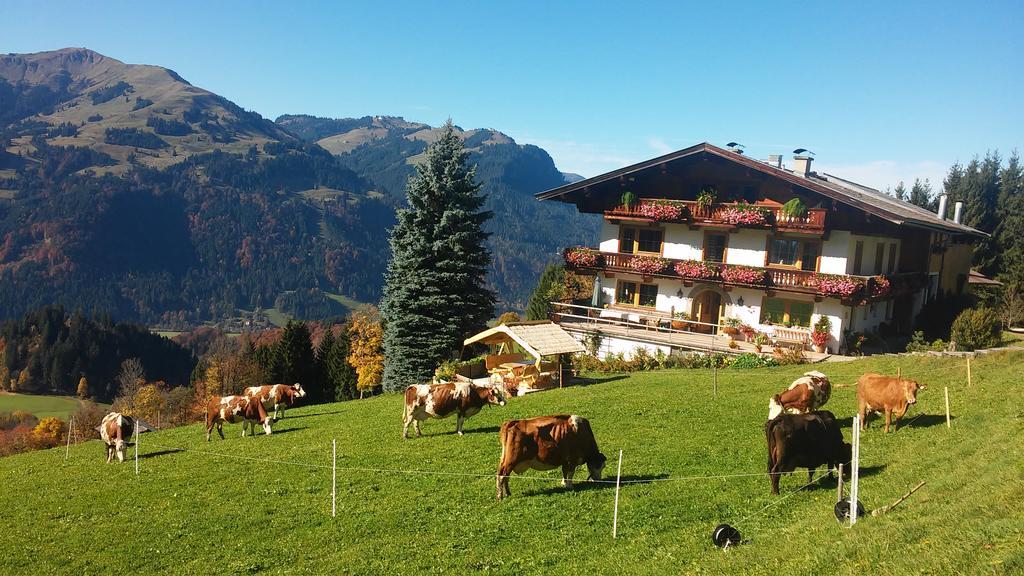 Hof Hamoos Lejlighed Kitzbühel Eksteriør billede